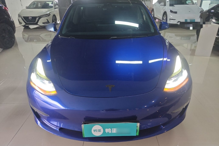 Tesla Model 3 2021 #3 Tesla Model 3 2021 car image #3