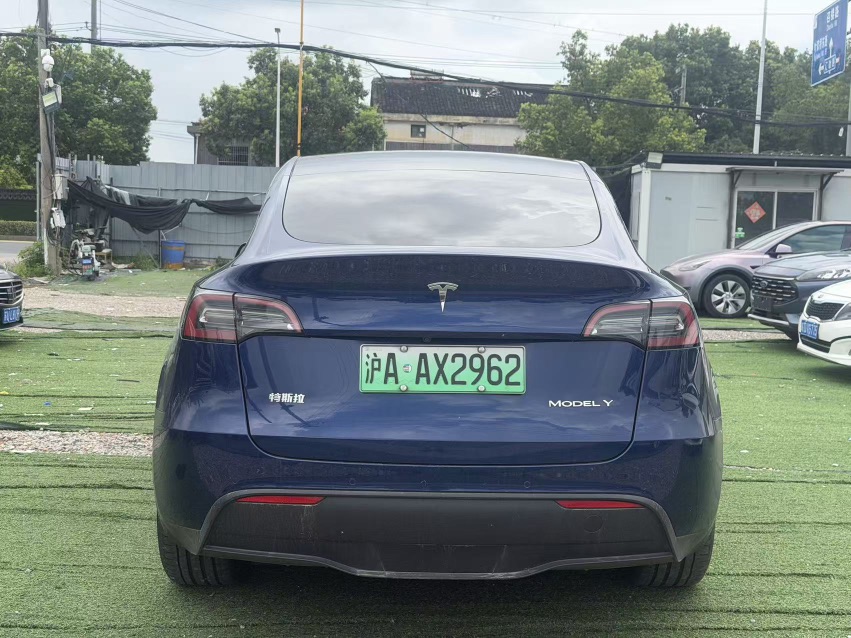 Tesla Model Y 2021 car image #8