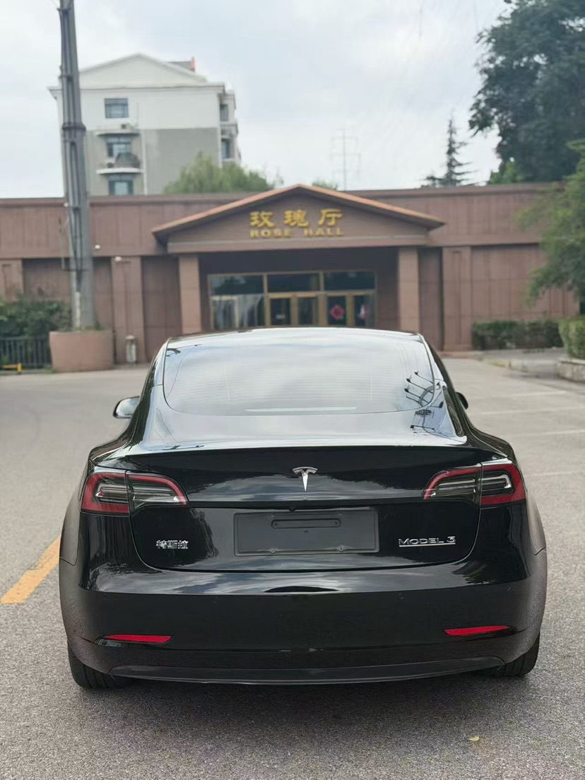 Tesla Model 3 2021 #6 Tesla Model 3 2021 car image #6