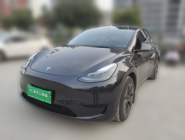 Tesla Model Y 2024 imagem de carro 