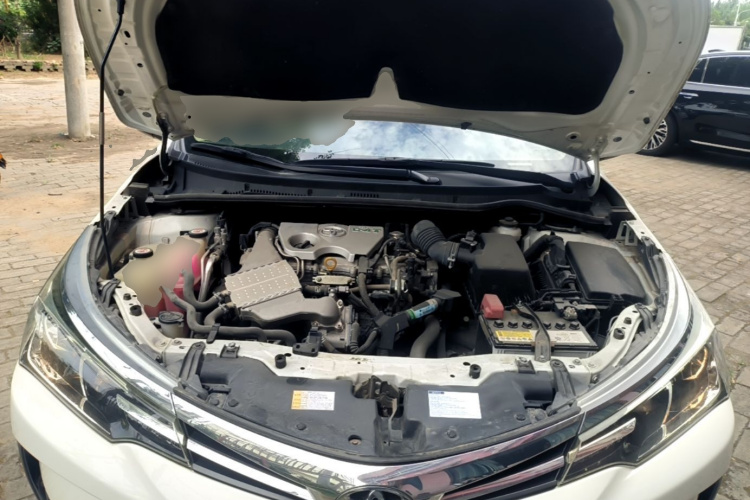 Toyota Corolla 2018 car image #20