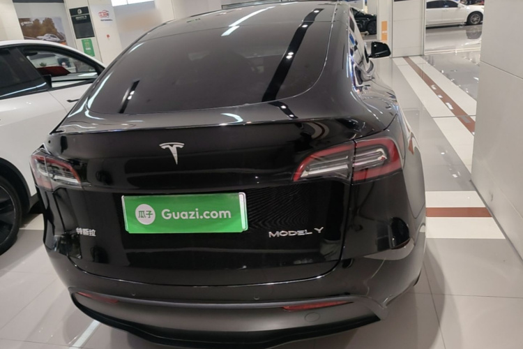 Tesla Model Y 2021 #6 Tesla Model Y 2021 изображение автомобиля #6