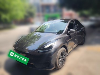 Tesla Model Y 2024 Tesla Model Y 2024 car image