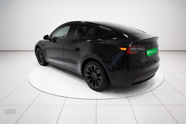 Tesla Model Y 2021 car image #5