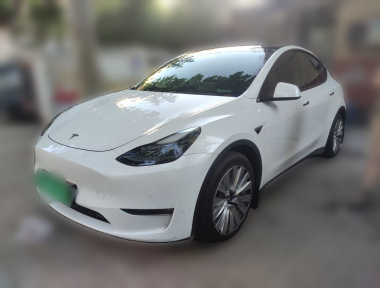 Tesla Model Y 2021 car image 