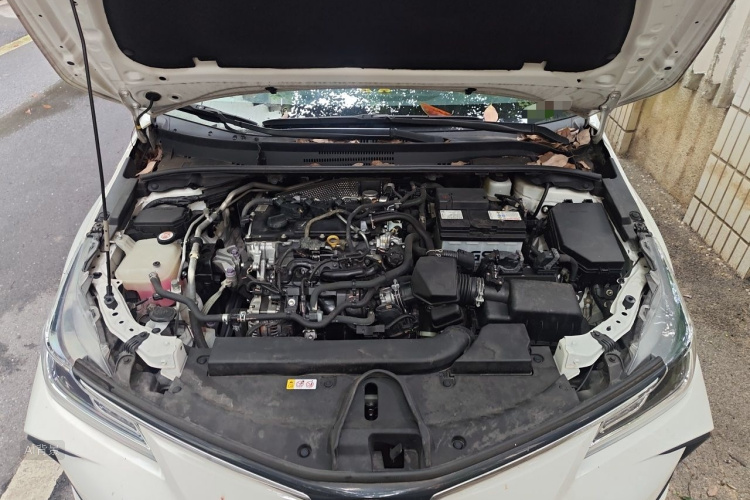 Toyota Corolla 2022 car image #22