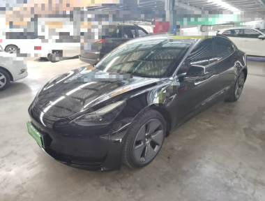 Tesla Model 3 2021 Tesla Model 3 2021 car image