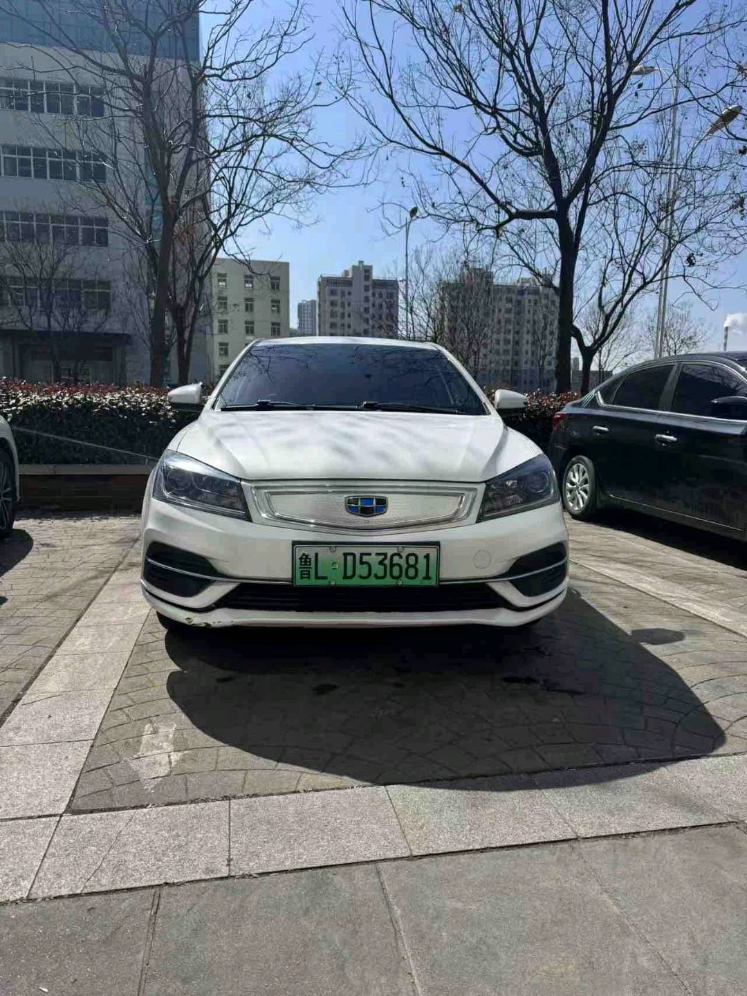 GEELY Emgrand New Energy 2019 car image #4