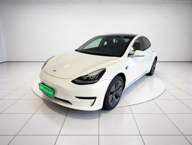 Tesla Model 3 2020 Tesla Model 3 2020 car image