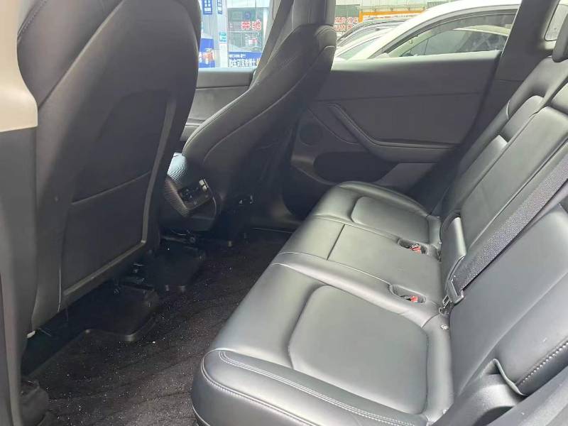Tesla Model Y 2021 car image #6