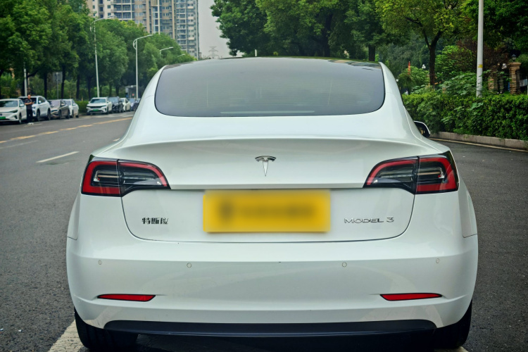 Tesla Model 3 2021 #5 Tesla Model 3 2021 car image #5