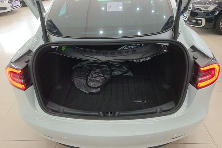 Tesla Model 3 2020 #19 Tesla Model 3 2020 car image #19