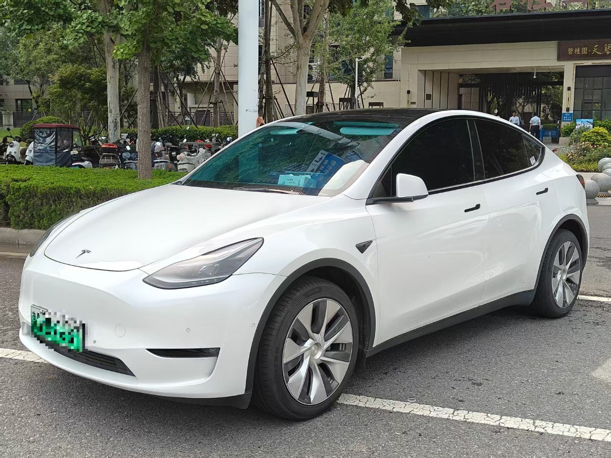 Tesla Model Y 2021 Tesla Model Y 2021 car image