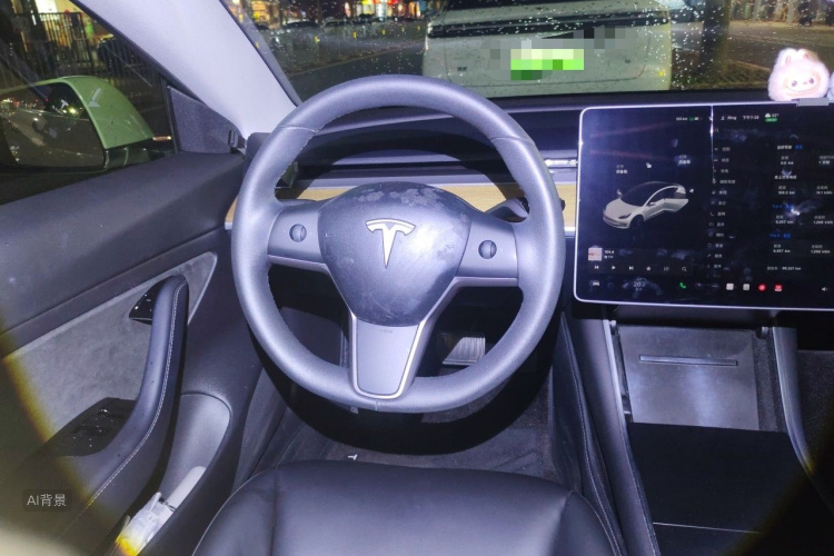 Tesla Model 3 2020 #12 Tesla Model 3 2020 car image #12