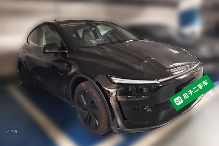 Tesla Model Y 2025 car image #4