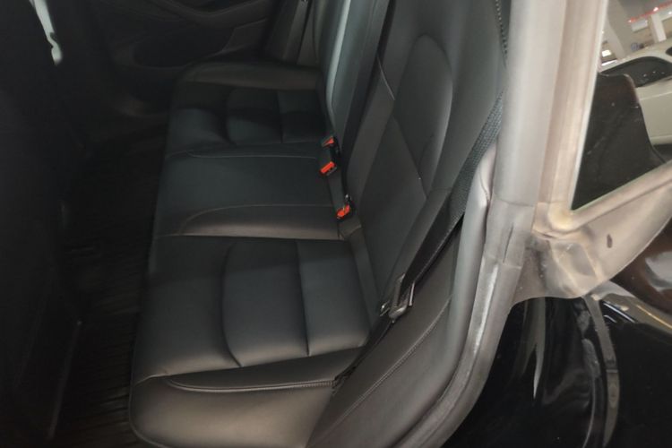 Tesla Model 3 2020 #17 Tesla Model 3 2020 car image #17