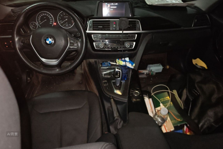 BMW 3 Series 2017 car image #11