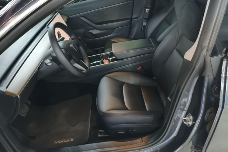 Tesla Model 3 2020 car image #15