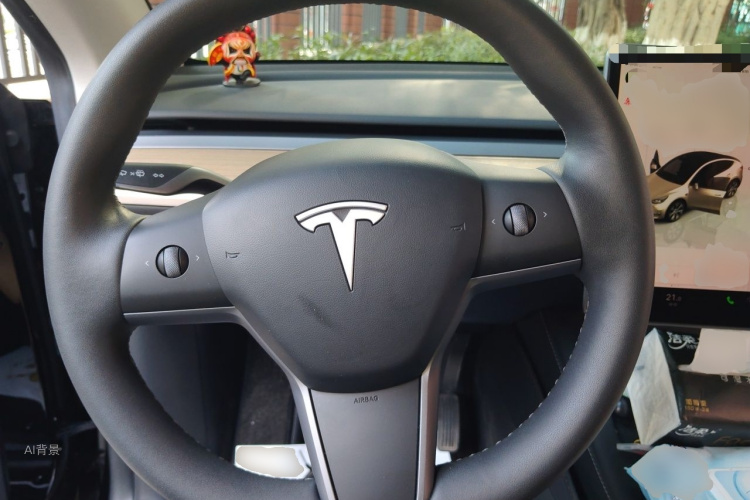 Tesla Model Y 2023 car image #12