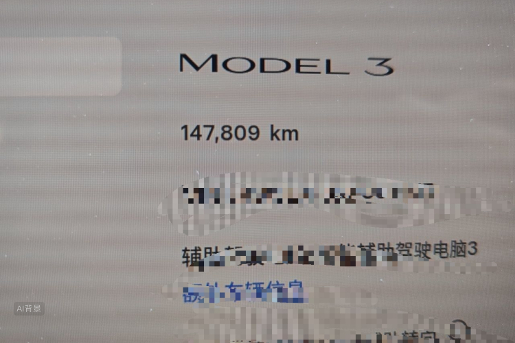 Tesla Model 3 2023 car image #14