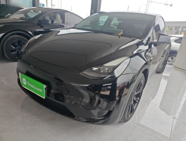 Tesla Model Y 2022 car image 