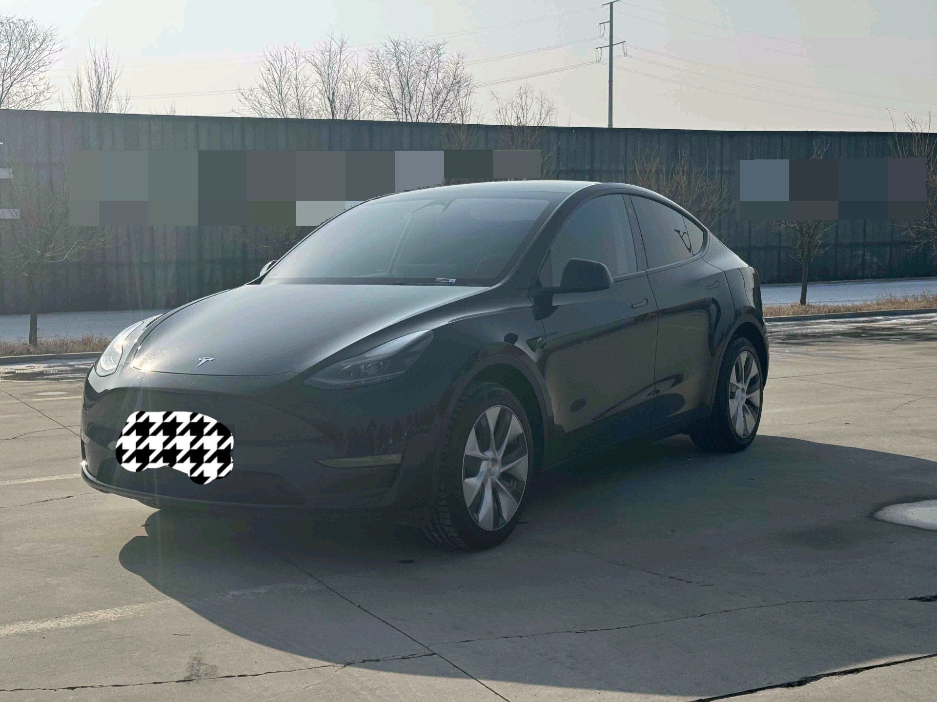 Tesla Model Y 2023 Tesla Model Y 2023 car image