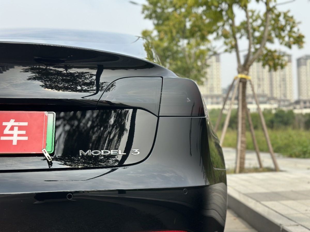 Tesla Model 3 2023 car image #7