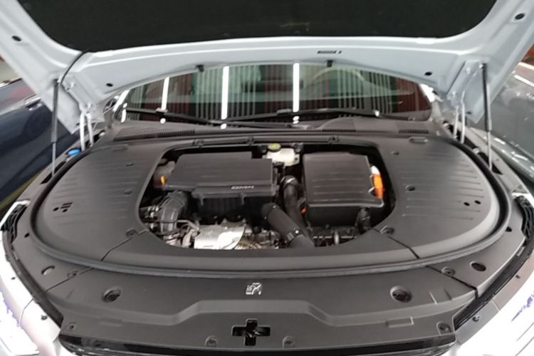 BYD Han 2024 car image #22