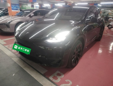 Tesla Model Y 2023 Tesla Model Y 2023 car image