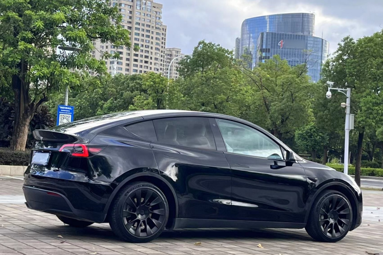 Tesla Model Y 2023 car image #6