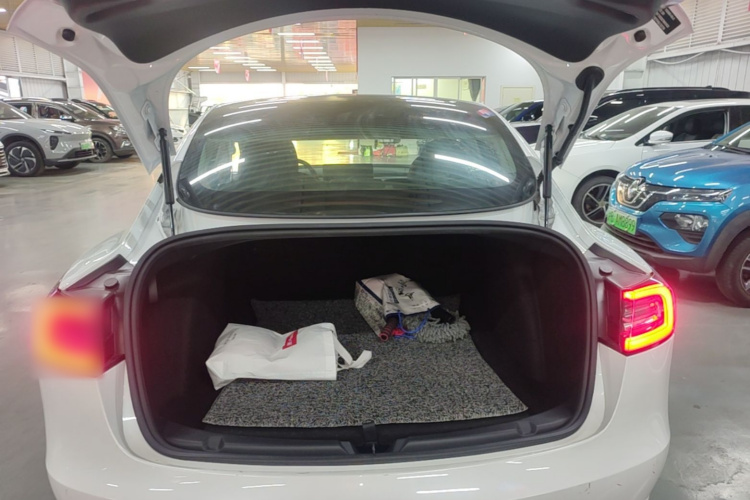 Tesla Model 3 2020 #21 Tesla Model 3 2020 car image #21