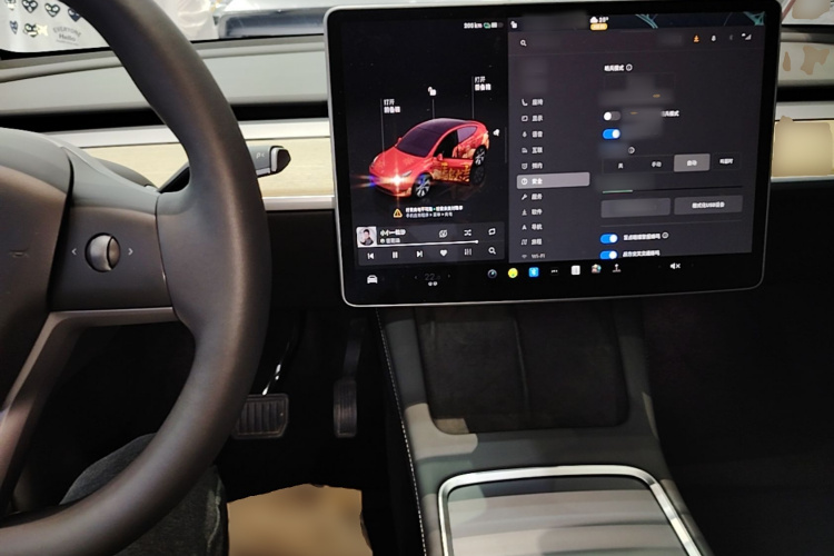Tesla Model Y 2023 car image #10