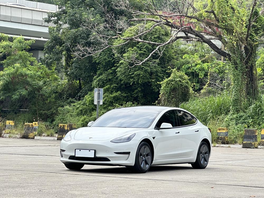 Tesla Model 3 2022 Tesla Model 3 2022 car image