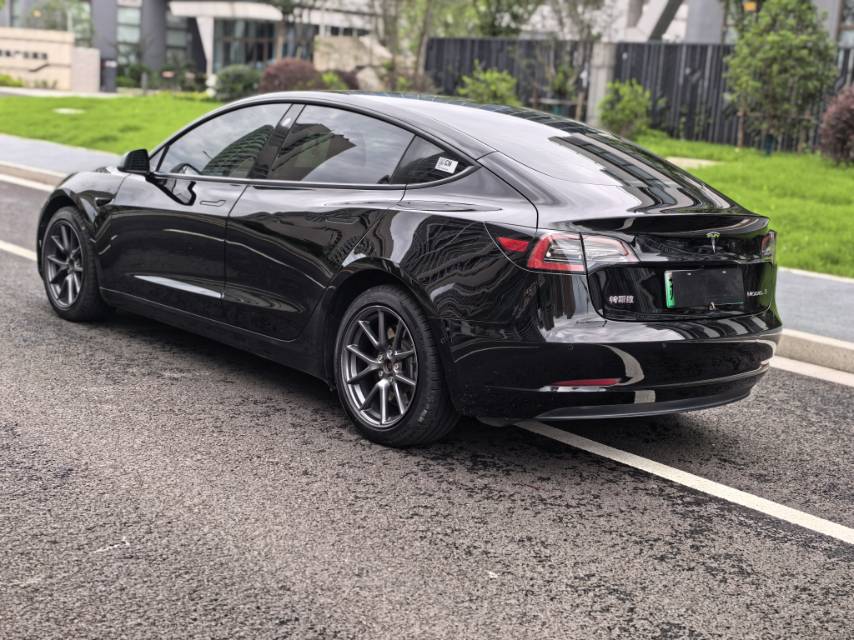 Tesla Model 3 2021 #5 Tesla Model 3 2021 car image #5