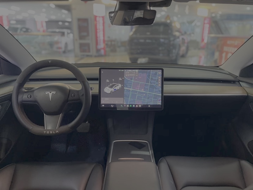 Tesla Model 3 2021 immagine di auto #6