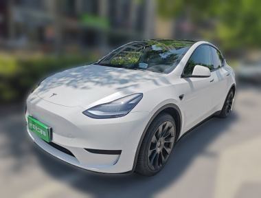 Tesla Model Y 2024 car image 