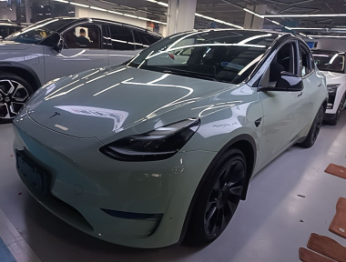Tesla Model Y 2021 car image 
