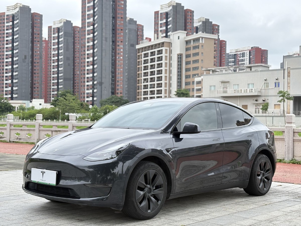 Tesla Model Y 2024 car image 