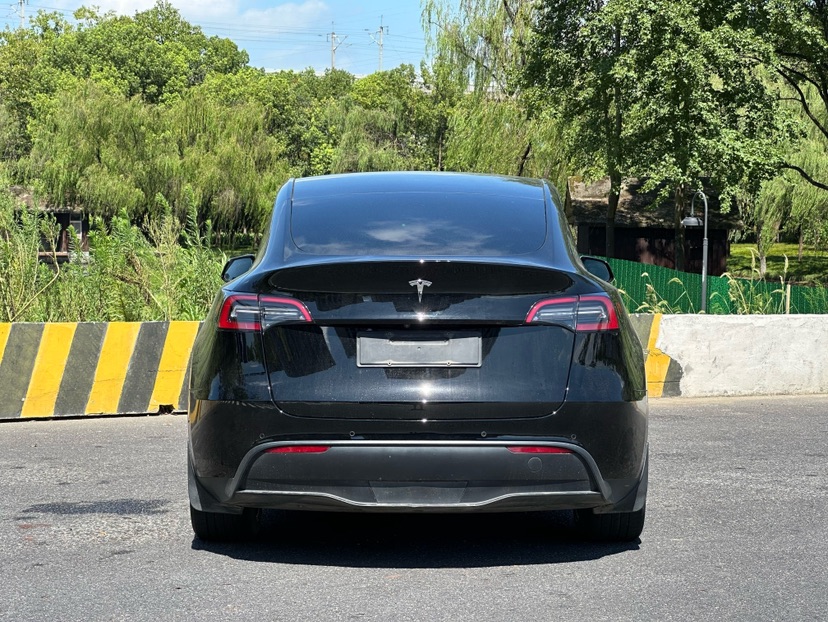 Tesla Model Y 2021 car image #4