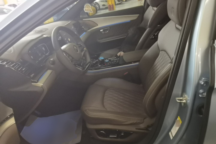 BYD Han 2023 car image #19