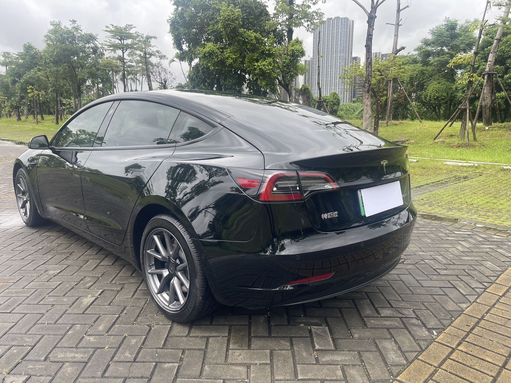 Tesla Model 3 2021 car image #14