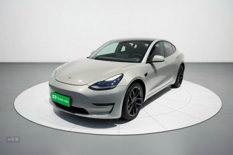 Tesla Model 3 2021 #2 Tesla Model 3 2021 car image #2