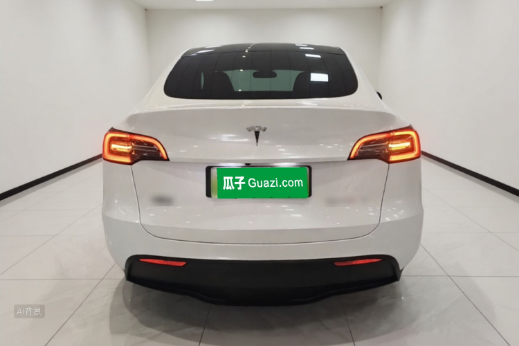 Tesla Model Y 2023 car image #6