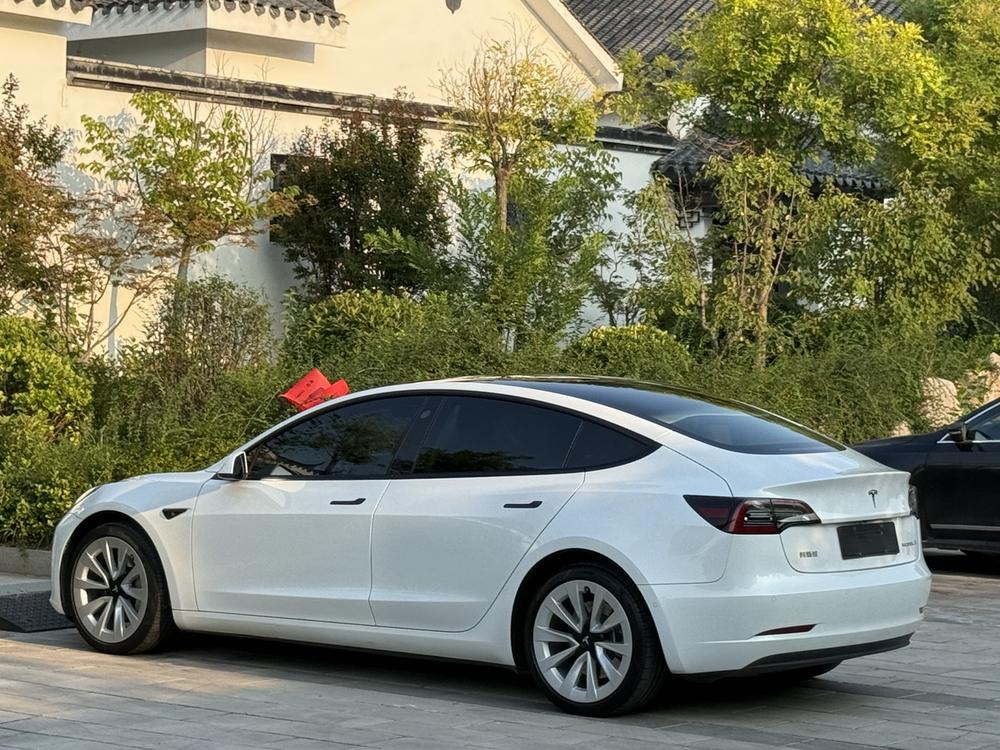 Tesla Model 3 2021 car image #4