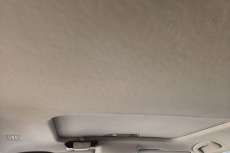 Volkswagen Lavida 2021 car image #20