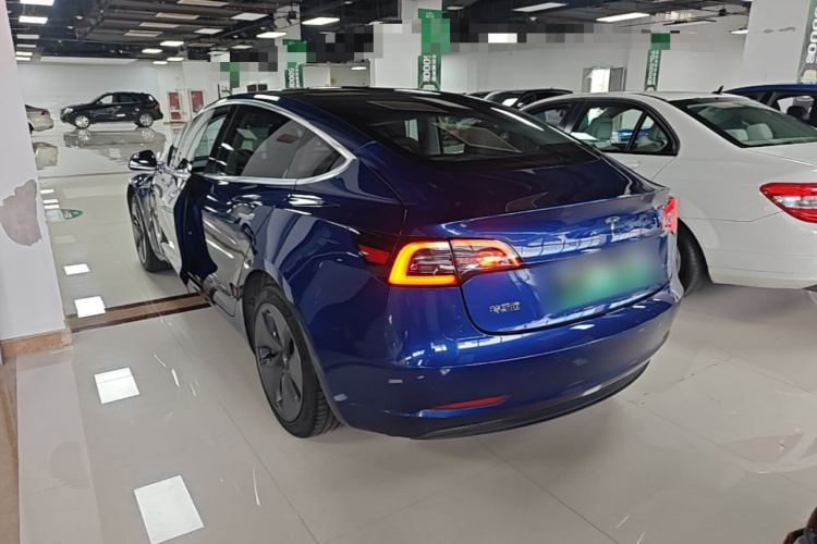 Tesla Model 3 2020 car image #5
