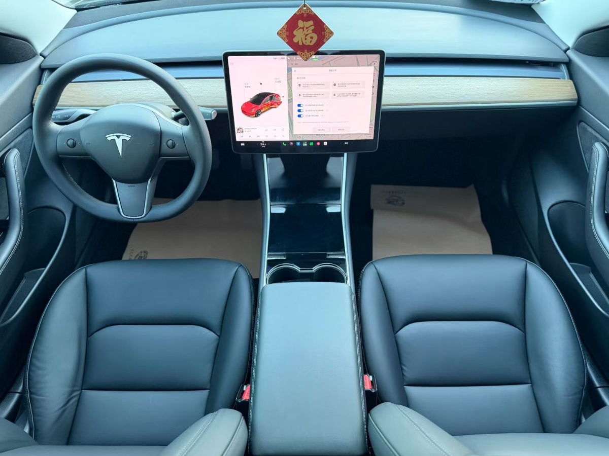 Tesla Model 3 2020 #7 Tesla Model 3 2020 car image #7