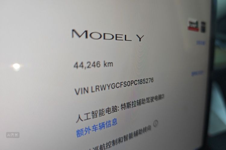 Tesla Model Y 2023 #14 Tesla Model Y 2023 car image #14