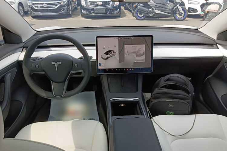 Tesla Model 3 2021 #10 Tesla Model 3 2021 car image #10