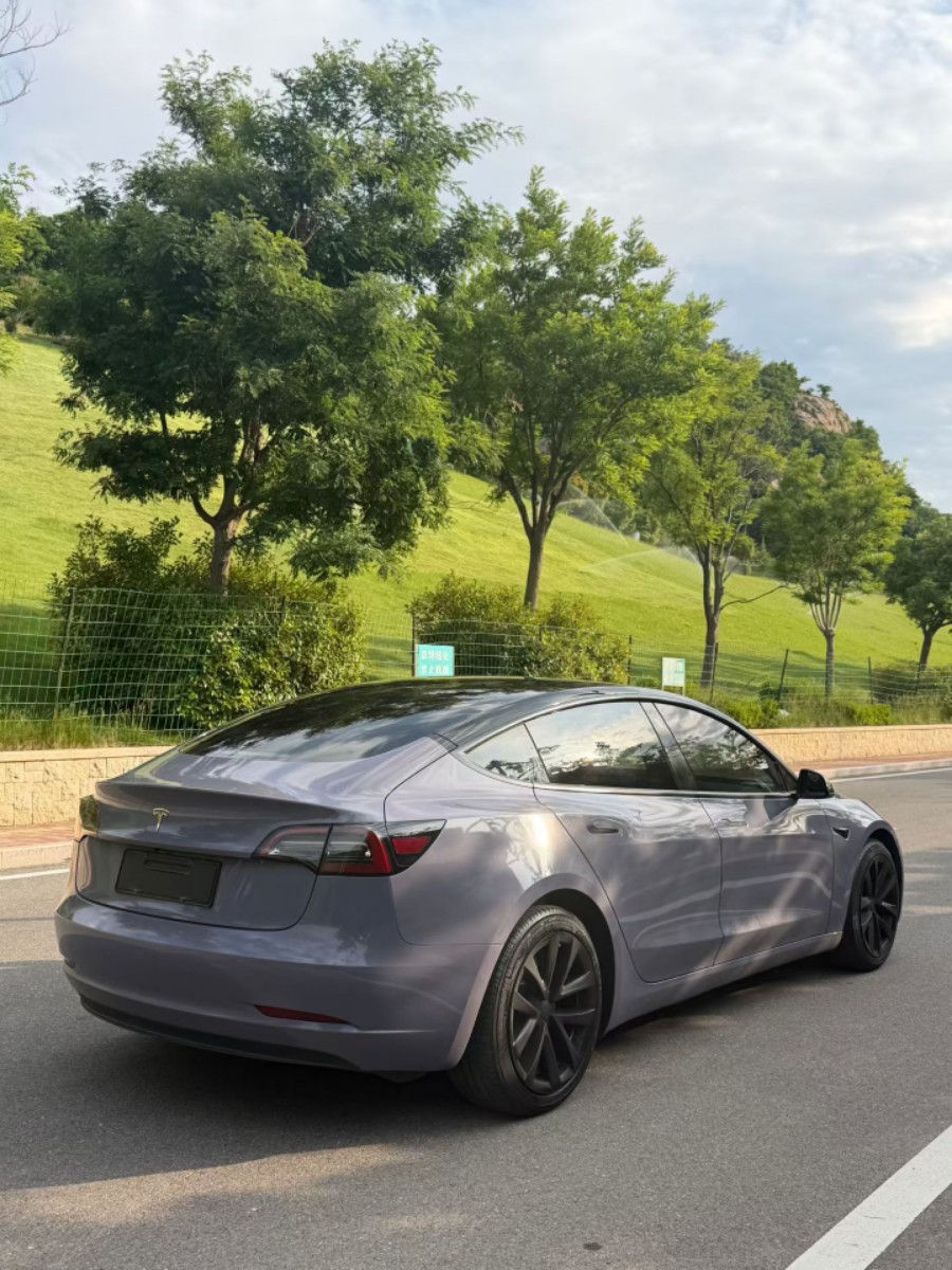 Tesla Model 3 2021 immagine di auto #9